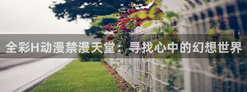 香蕉漫画网上看：全彩H动漫禁漫天堂：寻找心中的幻想世界