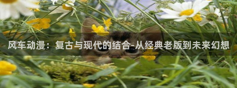 香蕉漫画网上看