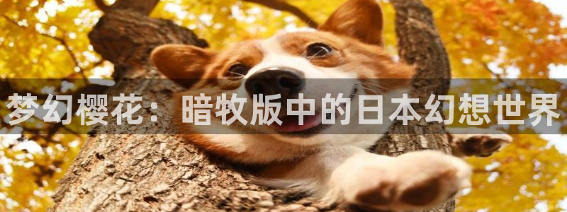 香蕉漫画下载网