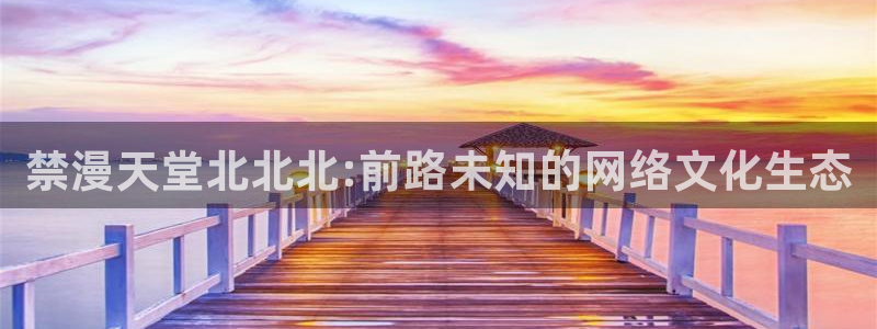 age专注动漫的门户网站：禁漫天堂北北北:前路未知的网络文化生态