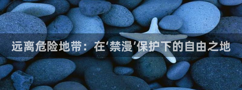 香蕉漫画下载网：远离危险地带：在‘禁漫’保护下的自由之地