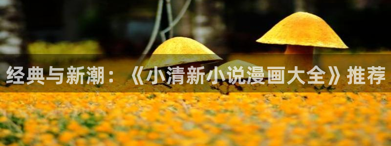 lovestage漫画免费阅读：经典与新潮：《小清新小说漫画大全》推荐