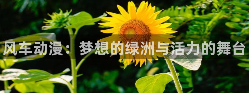 香蕉漫画：风车动漫：梦想的绿洲与活力的舞台