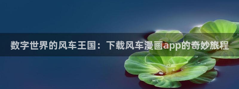 香蕉漫画下载入口：数字世界的风车王国：下载风车漫画app的奇妙旅程