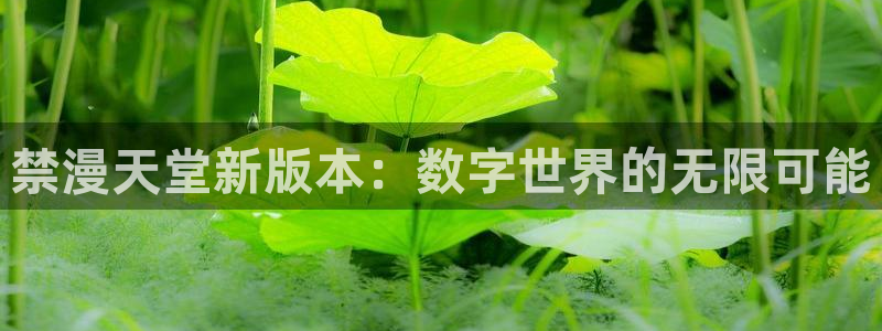 colamanage漫画：禁漫天堂新版本：数字世界的无限可能